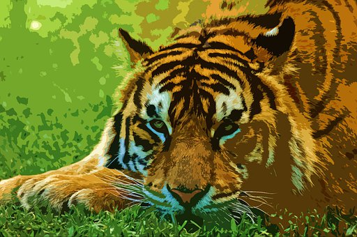 Free Animal Tiger illustration and picture