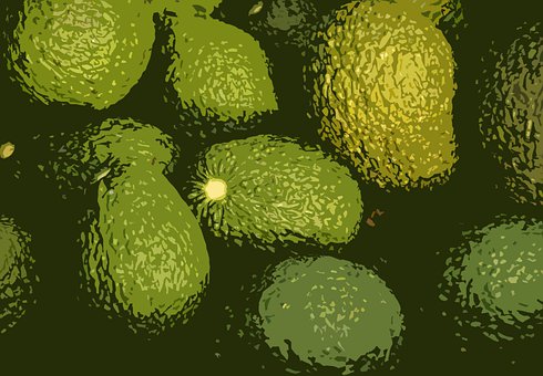 Free Avocado Fruits illustration and picture