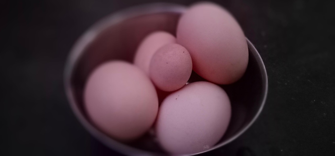 Oeufs De Poule Des Œufs Aliments - Photo gratuite sur Pixabay - Pixabay