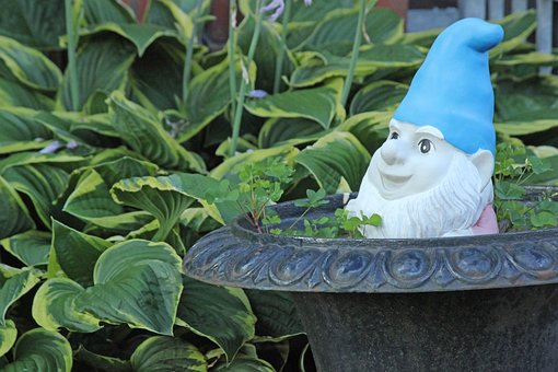 Free Gnome Dwarf photo and picture