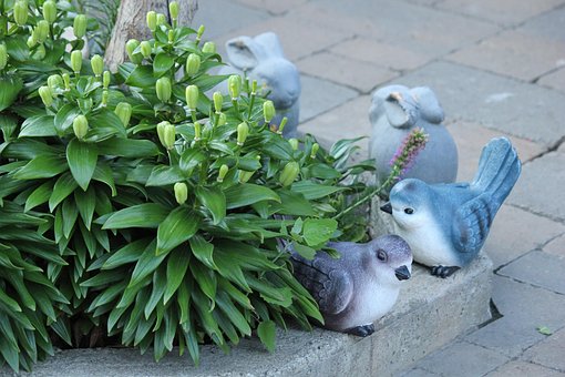 Free Park Bush photo and picture