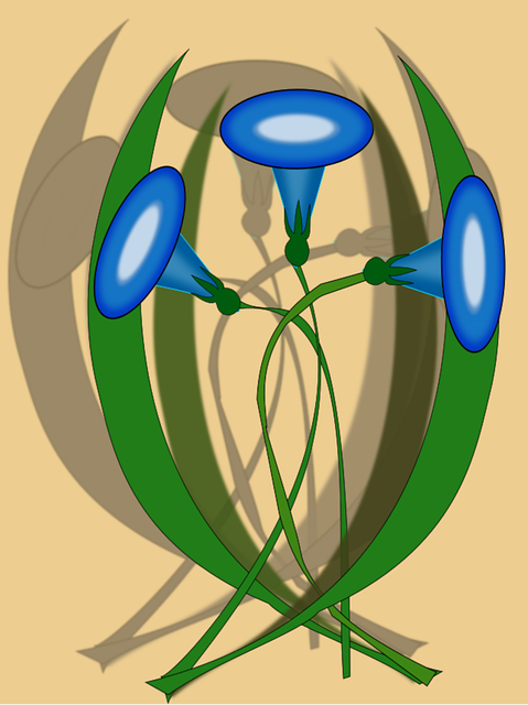 Winde, Blumen, Zierpflanze, Ackerwinde