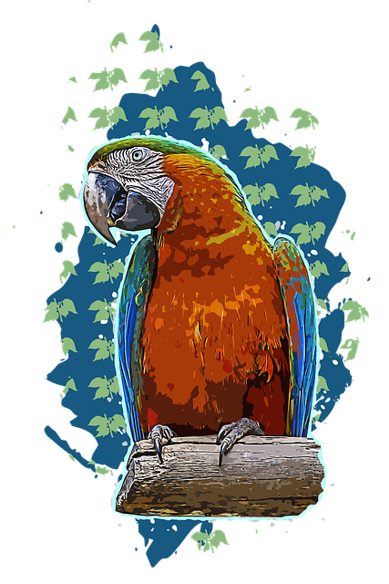 Free blue-throated macaw parrot bird illustration