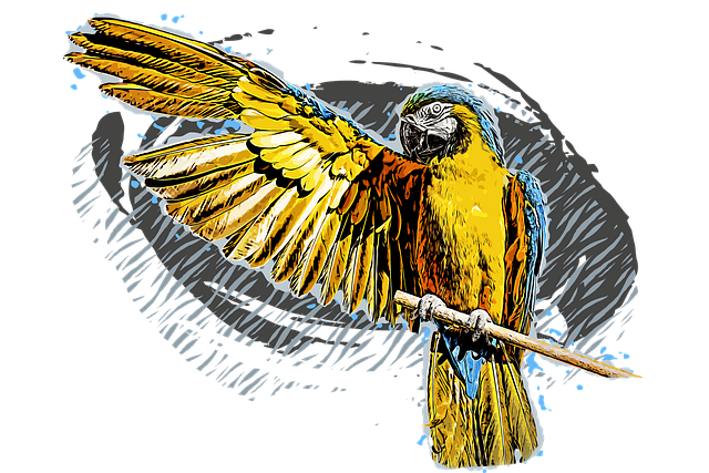 Free parrot blue and yellow macaw nature illustration