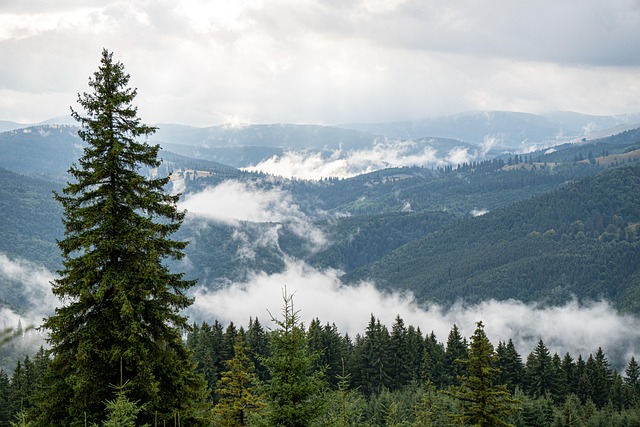 Free Nature Mountain photo and picture