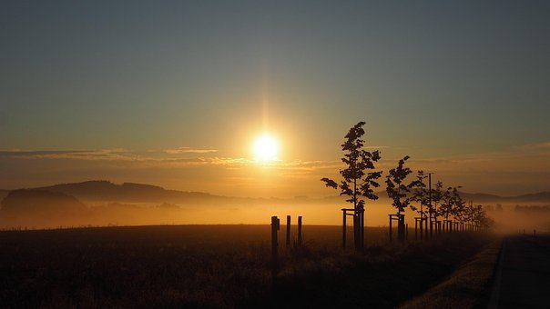 Free Sunrise Field photo and picture