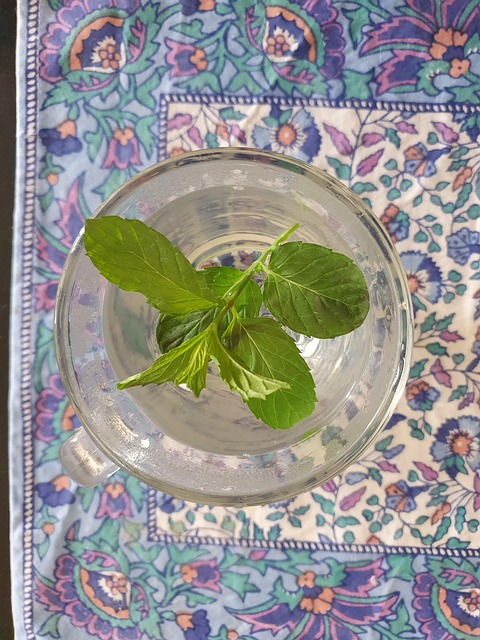 Free Tea Infusion photo and picture
