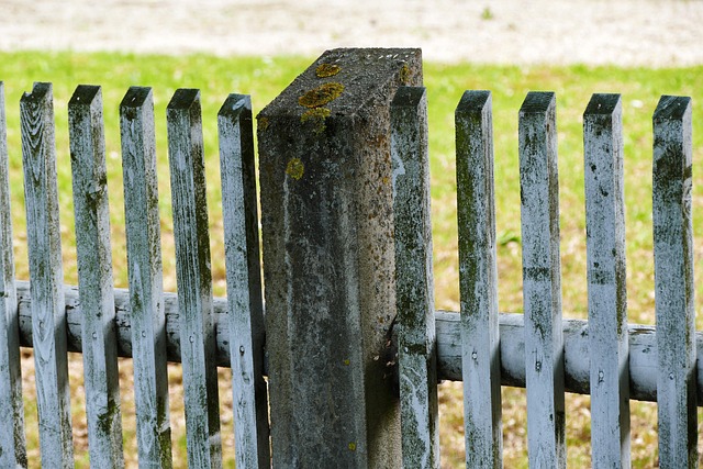 Free Fence Barrier photo and picture