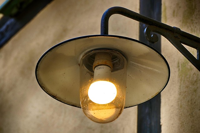 Free Lamp Street Lamp photo and picture