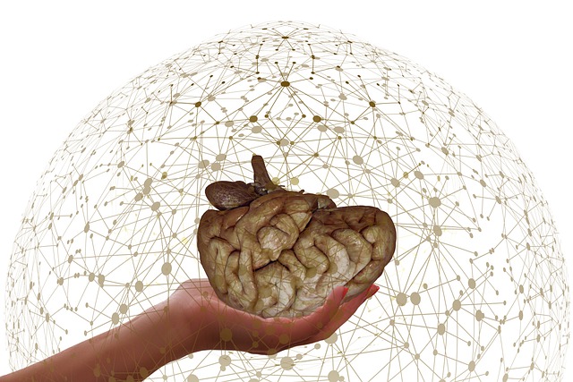 Download free HD stock image of Brain Network Free brain network connection illustration