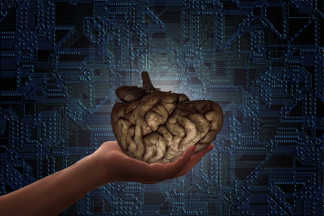 Download free HD stock image of Brain Hand Free brain hand connection illustration