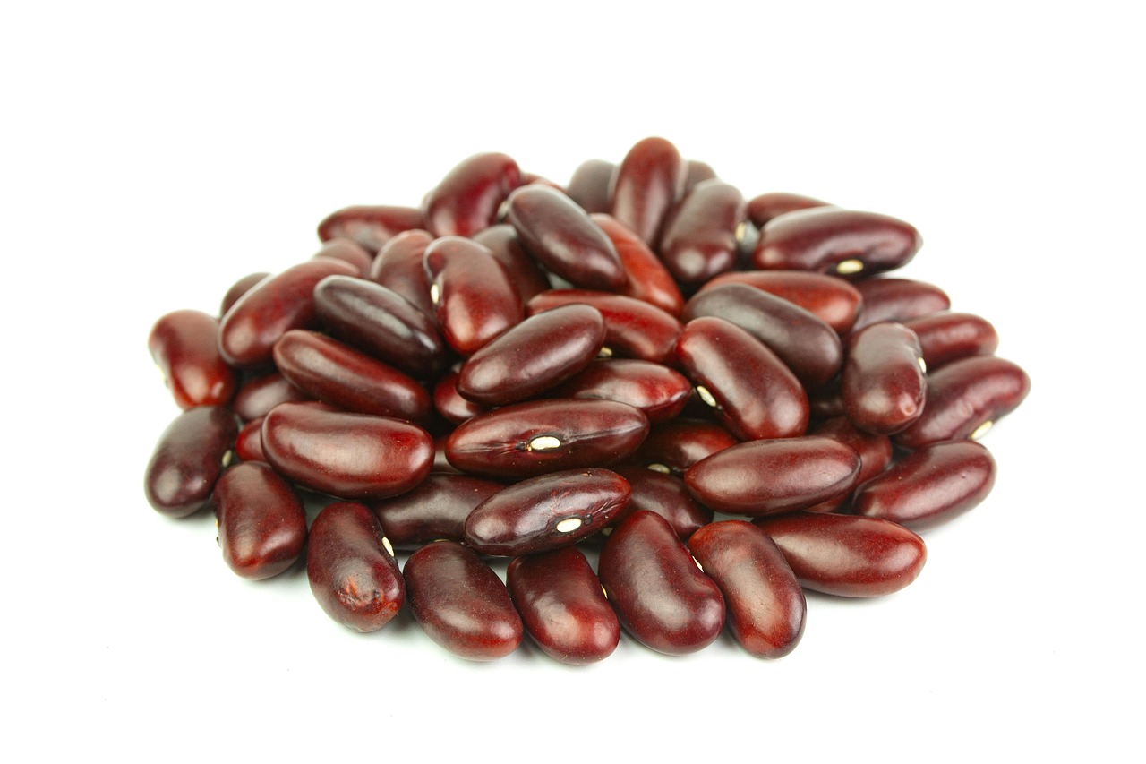 Kidney Bean Beans Vegetable Red Free photo on Pixabay Pixabay