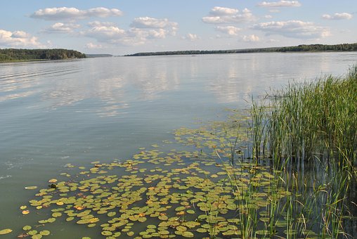 Вода, Природа, Деревья, Отдых, Озеро