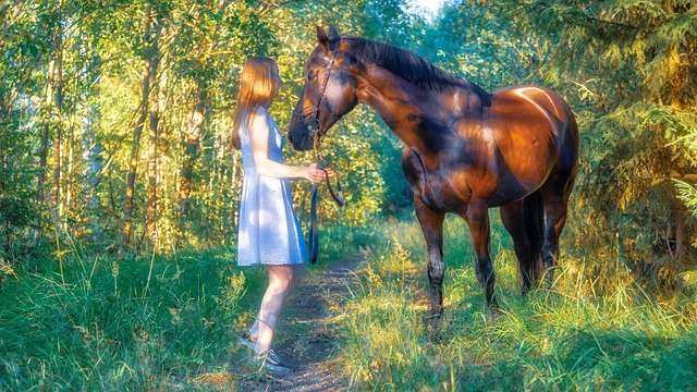 Pferd, Frau, Wald, Tier, Mädchen