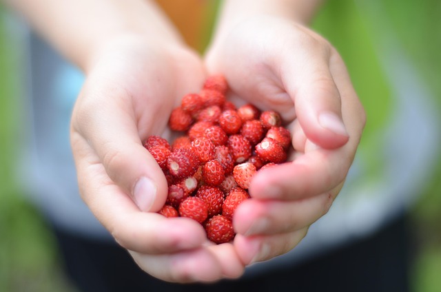 Free Wild Strawberry Fruits photo and picture