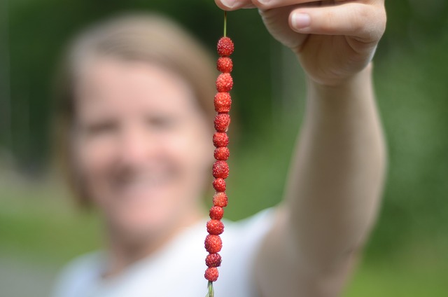 Free Wild Strawberry Fragaria Vesca photo and picture