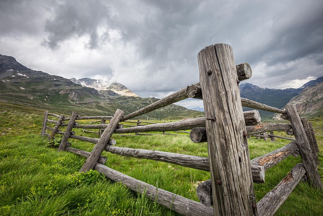 Free Field Wooden Fence photo and picture