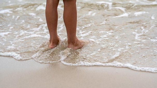 Free Beach Seashore photo and picture