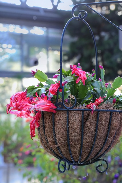 Free Flowers Ornament photo and picture