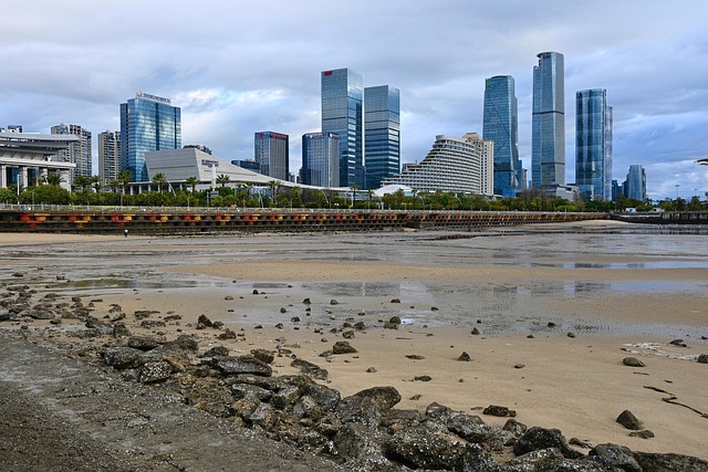 Free Beach Dawn photo and picture