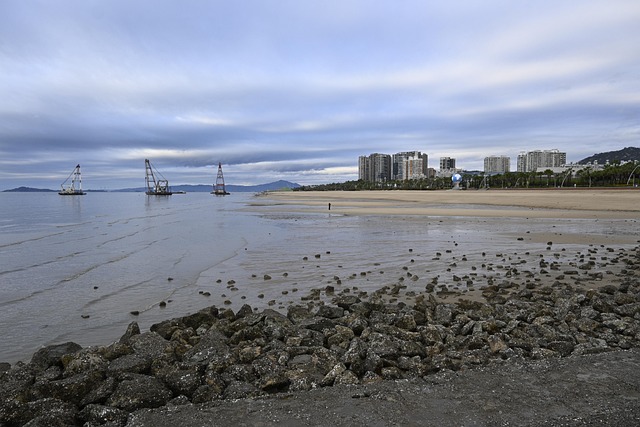 Free Beach Sea photo and picture