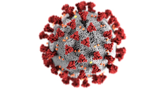 Download free HD stock image of Virus Coronavirus Free virus coronavirus pathogen illustration