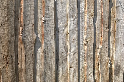 Free Board Wood photo and picture