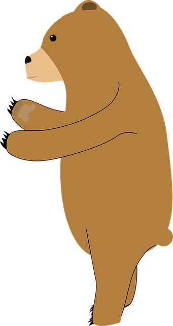 Bjørn, Furry, Brown