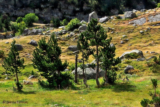 Free Plains Hospital Huesca photo and picture