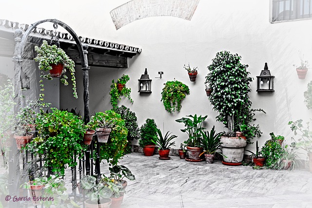 Free Andalusian Patio Huelva photo and picture