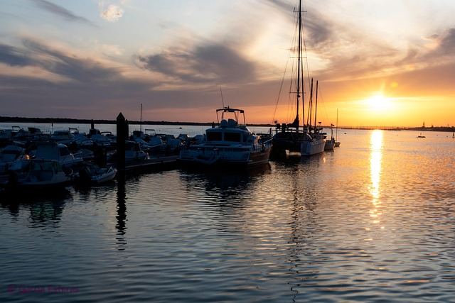 Free Cristina Island Huelva photo and picture
