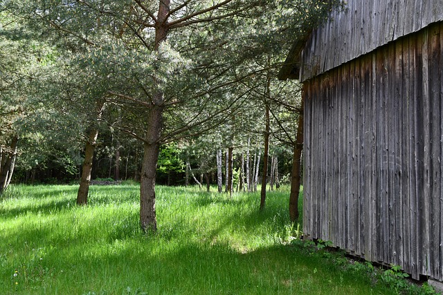 Bosque Granero Rural - Foto gratis en Pixabay - Pixabay
