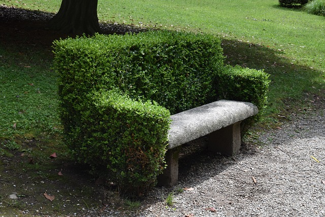 Free Bench Park photo and picture