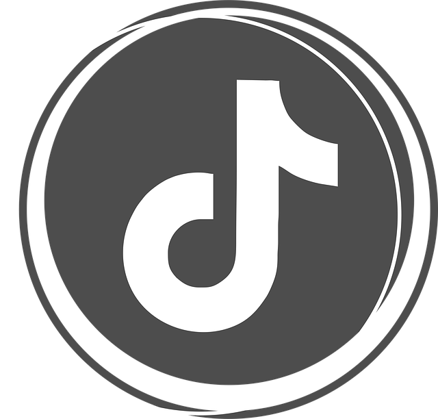 Rețea, Internet, Tiktok, Facebook