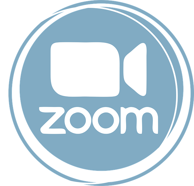 Zoom, Conferințe Video, Apel Video