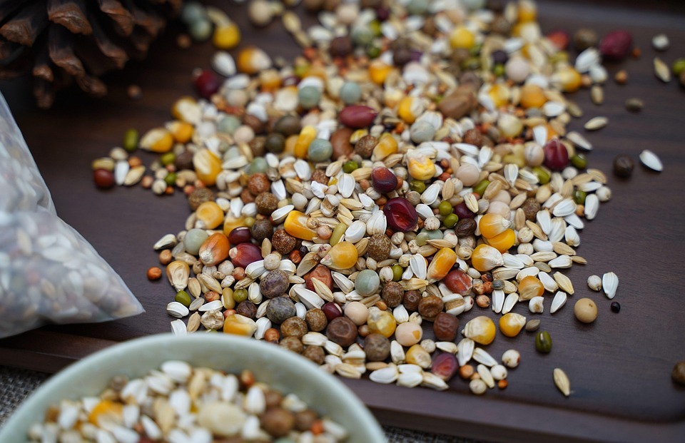 Grains Bird Seeds Free photo on Pixabay