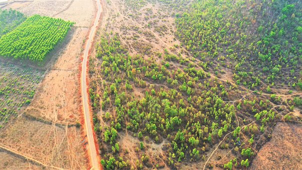 Zangão, Verde, Panorama, Natureza, Ar