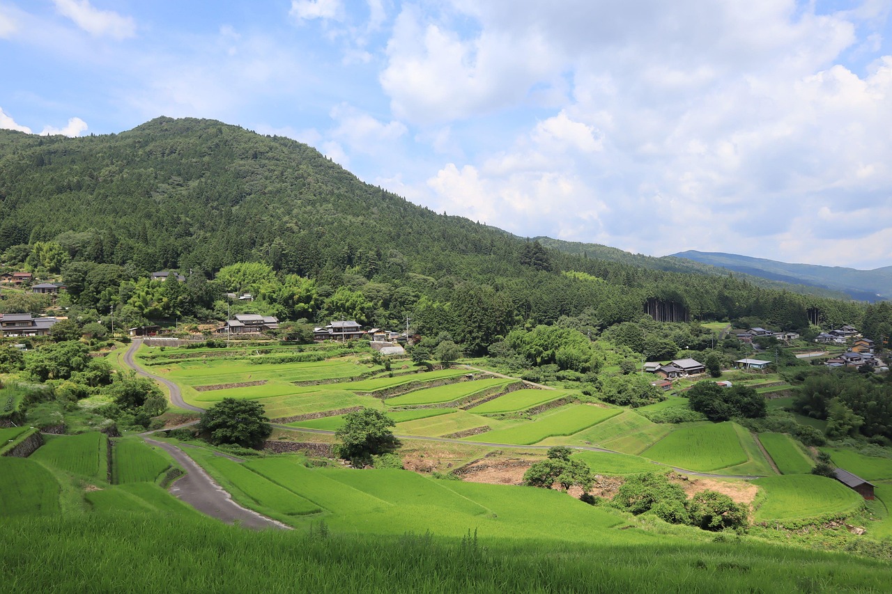景观 农业 水稻梯田 - Pixabay上的免费照片 - Pixabay