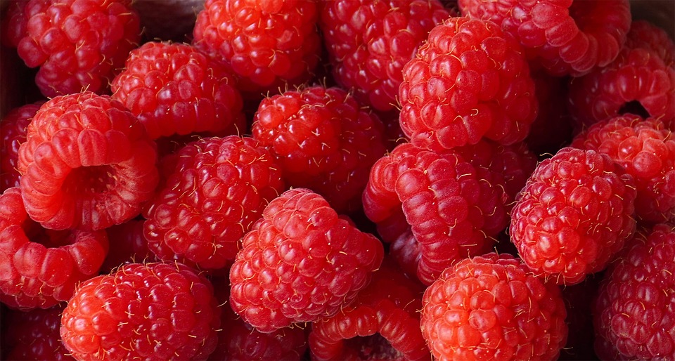 Raspberries Berries Fruit - Free photo on Pixabay