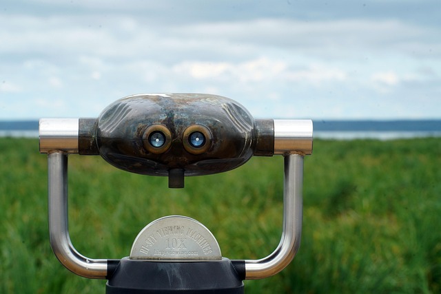 Free Tower Viewer Lake photo and picture