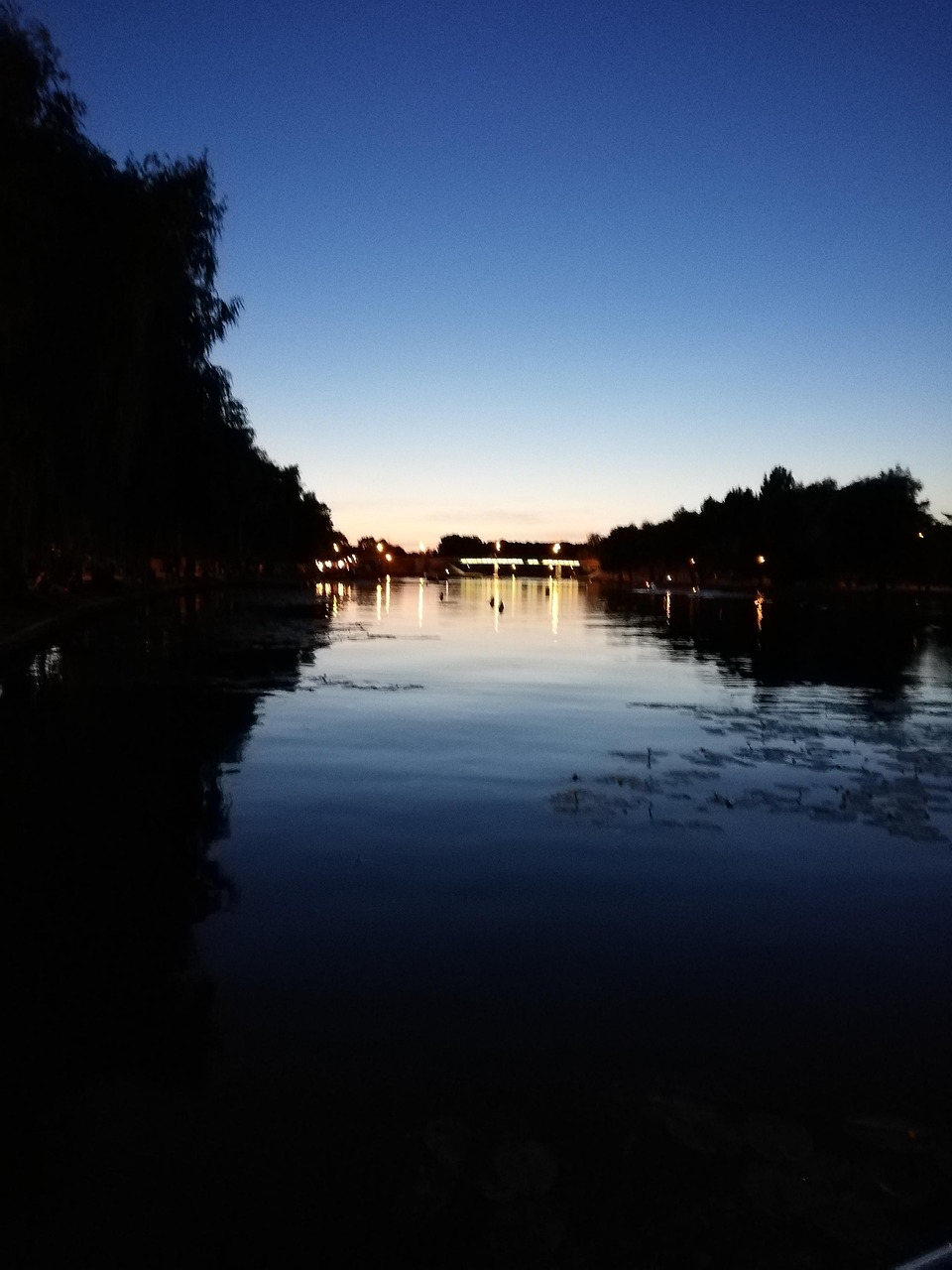 晚上 夜 光 - Pixabay上的免费照片 - Pixabay