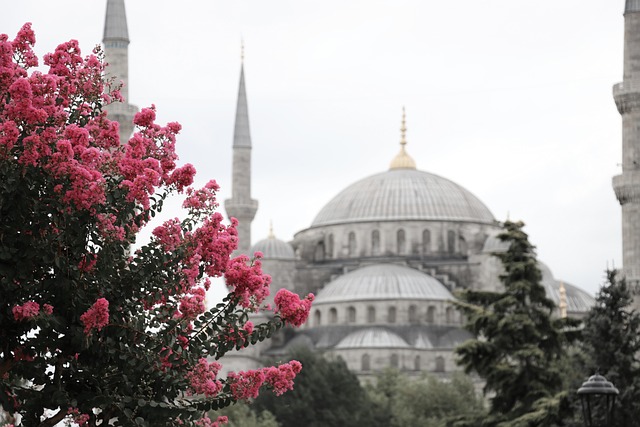 Sultan Ahmed Mosque Blue - Free photo on Pixabay - Pixabay