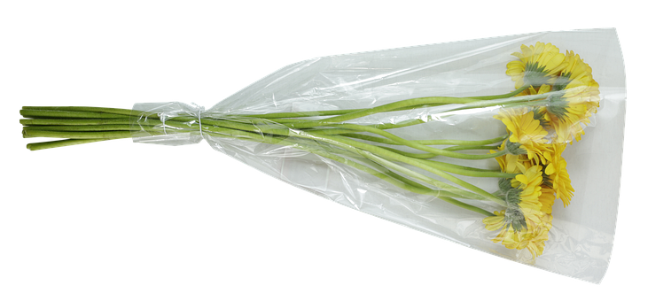 Blumen, Gelb, Strauß, Blüte