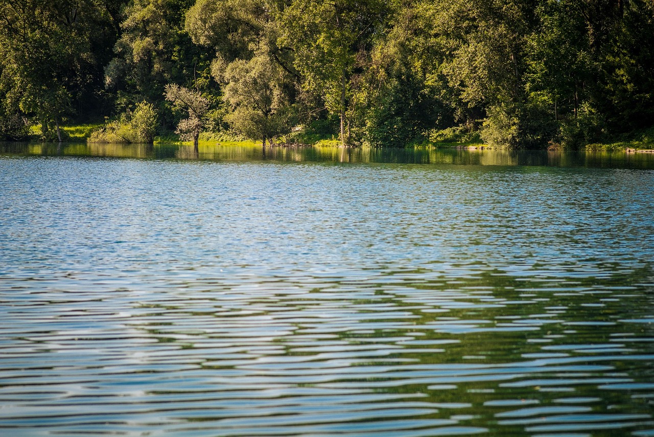 Lago Agua Ribera Junto Al Foto gratis en Pixabay Pixabay