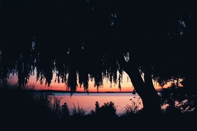Free Sunset Lake photo and picture