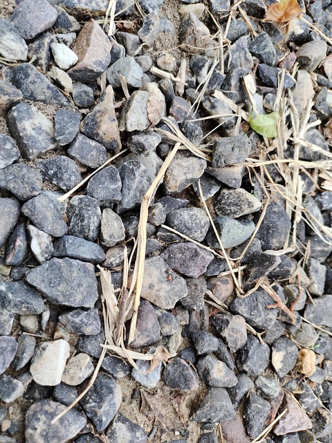 Free Stones Small photo and picture