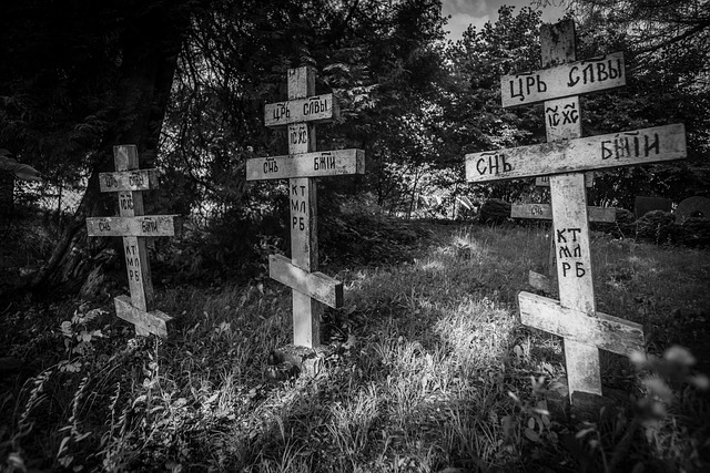 Free Cemetery Masuria photo and picture