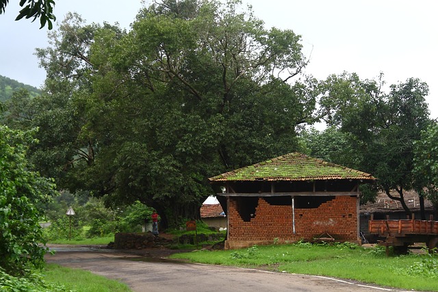 Free Village Nature photo and picture