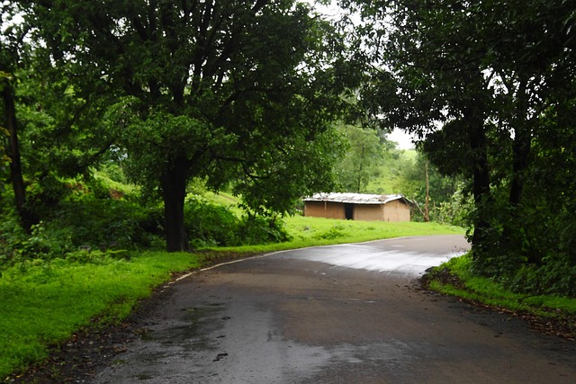 Free Village Nature photo and picture