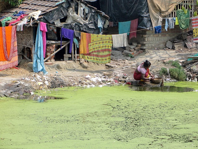 Free India Boat photo and picture